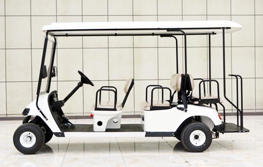 Electric golf cart factory