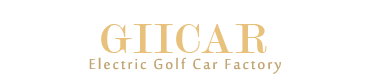 GIICAR+ 관광 자동차  - 중국 전기 골프 자동차 제조사